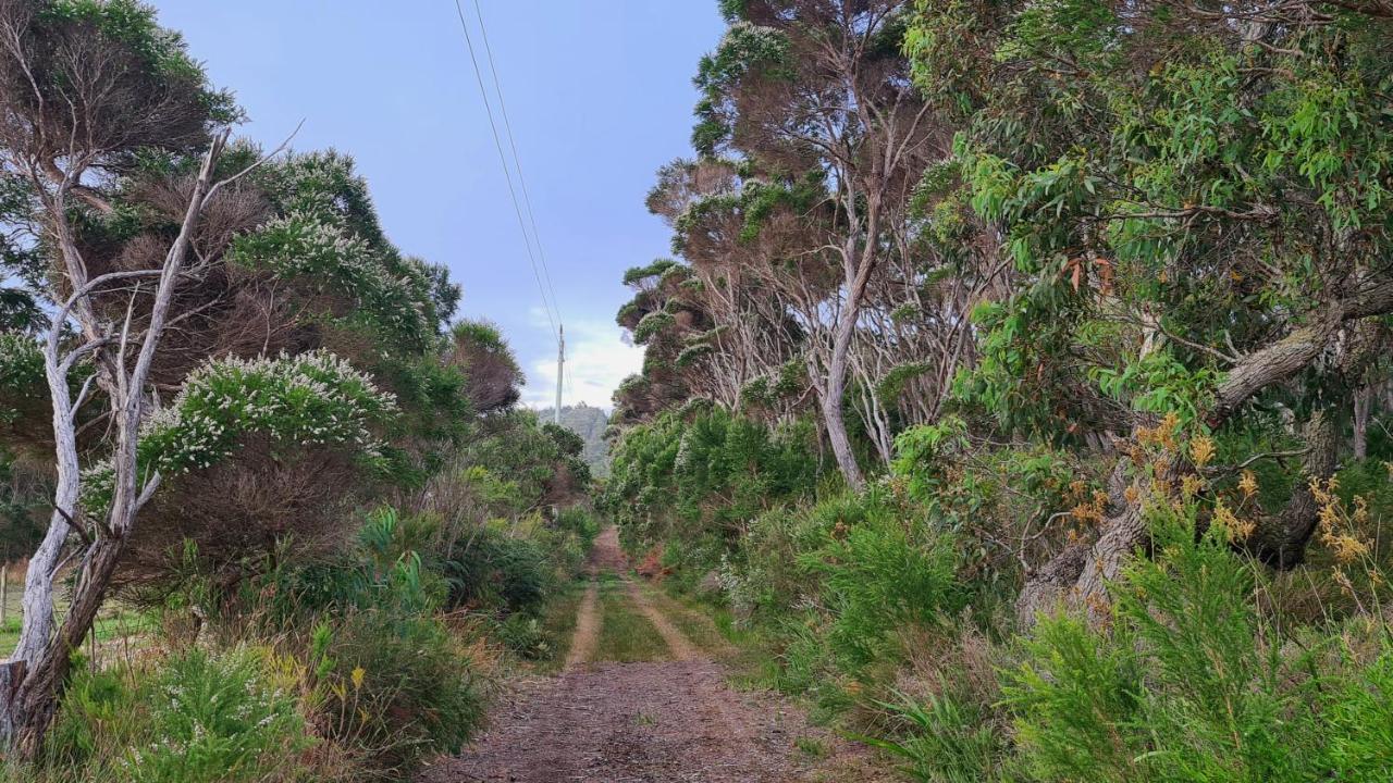 Cape Howe Cottages Lowlands Kültér fotó