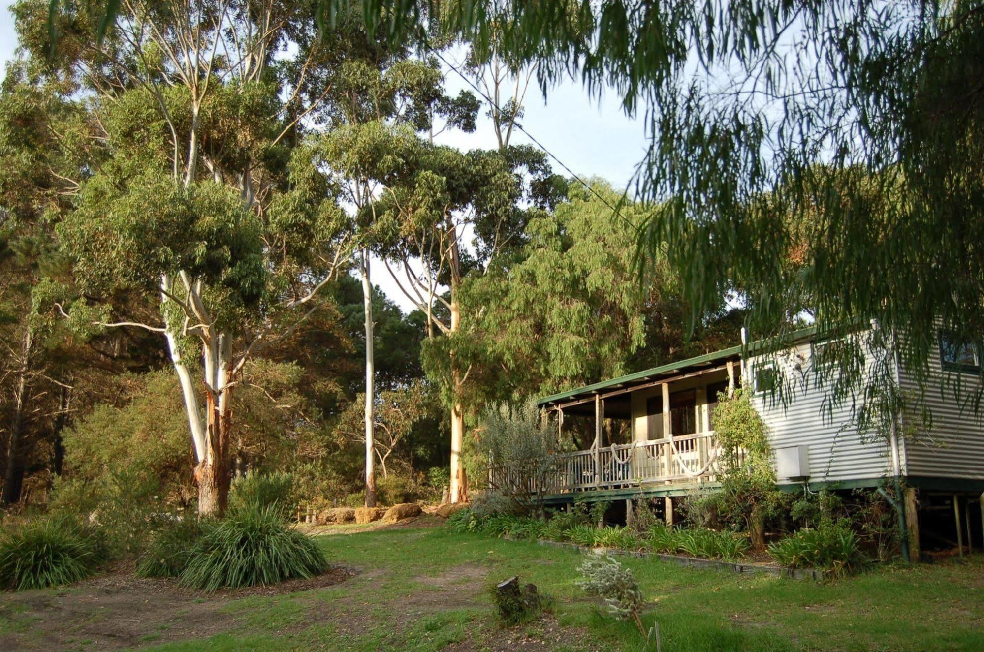 Cape Howe Cottages Lowlands Kültér fotó